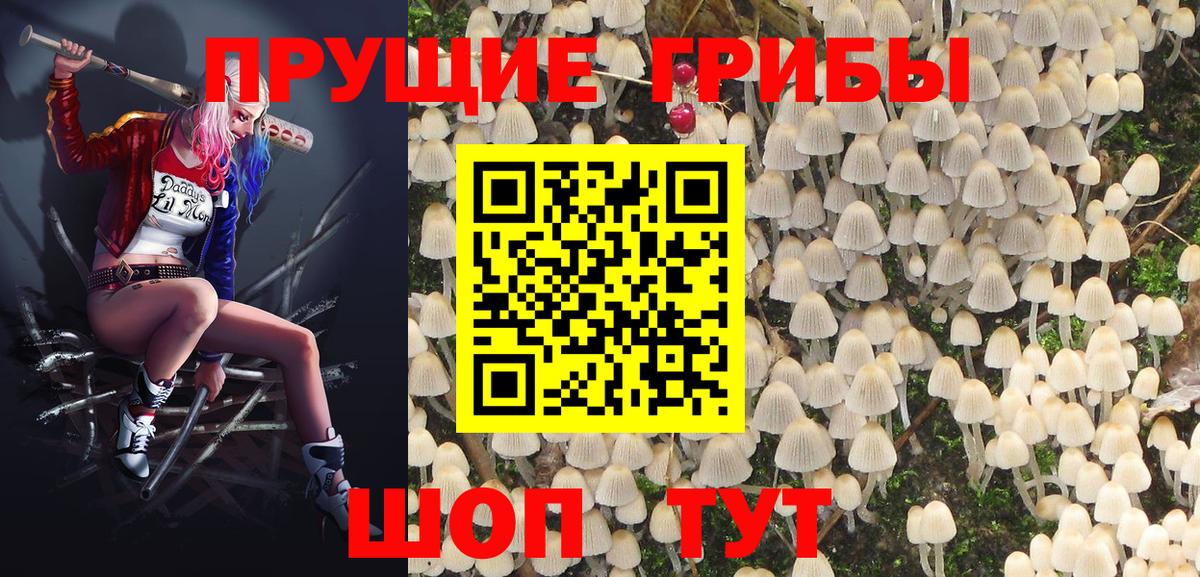 Псилоцибиновые грибы Magic Shrooms Кимры
